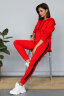 Костюм 2-393/3, красный